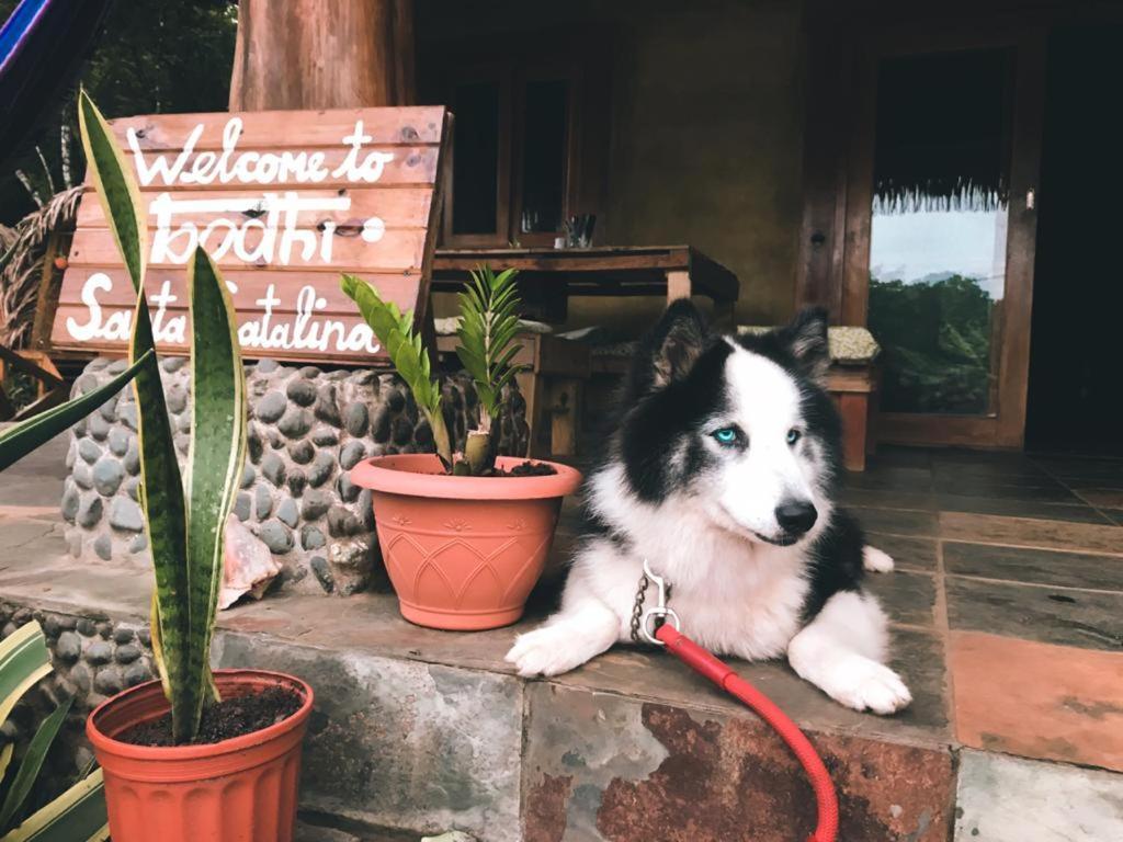 Bodhi Santa Catalinaホステル エクステリア 写真